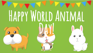 Event - World Animal Day - digital signage template