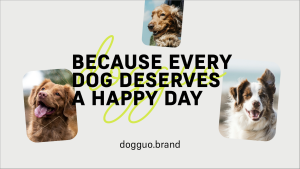 Pawfect Pets - Layout 1 - digital signage template