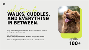 Pawfect Pets - Layout 2 - digital signage template