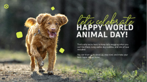 Pawfect Pets - Layout 4 - digital signage template