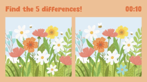 Spot the Difference - Layout 1 - digital signage template