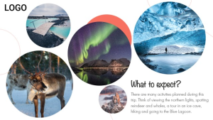 Travel - Layout 3 - digital signage template