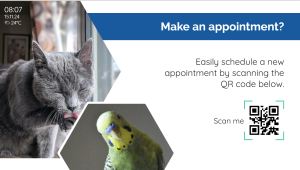 Veterinarian - QR Code - digital signage template