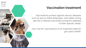 Veterinarian - Gallery - digital signage template