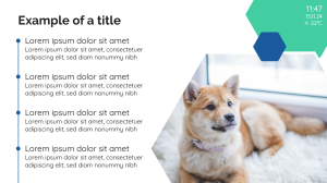 Veterinarian - Bullet Points - digital signage template